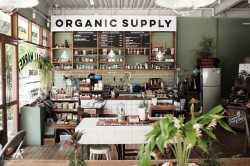 Organic-Supply4-2638071629