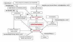 The-Physiological-Pathways-to-Drowning-following-immersion-submersion-in-cold.ppm