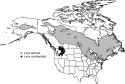 Range-map-for-eastern-larch-Larix-laricina-and-western-larch-Larix-occidentalis-two