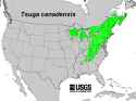 200511 Eastern Hemlock (Tsuga canadensis) - USGS Forest Service Native Range Map