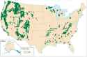 national forests