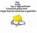 coghlans_egg_suitcase_turtle