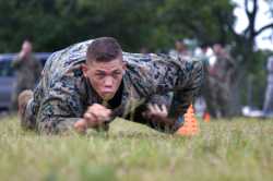 combat crawler