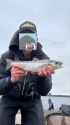 llsalmon