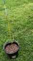 IMG-20250503-094313561