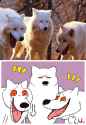 laff