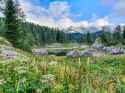 IMG-20220719-WA0008(1)