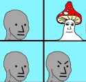 npcmushrooms