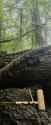 IMG-20250507-120724253