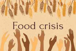 food crisis