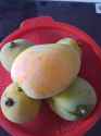 IMG-20250509-WA0012