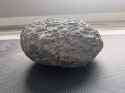 IMG-20250511-WA0010