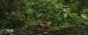 IMG-20250514-150555129