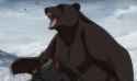 meVSbear