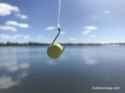 powerbait-on-hook-300x225