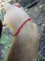 IMG_20250523_093758