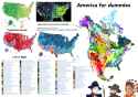 America for Dummies