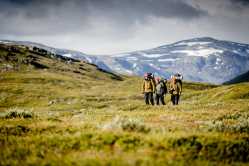 Hiking_sep15-1296_Carl-Johan20Utsi-CMSTemplate_M7O2lit