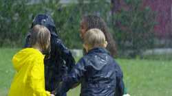 free-video-3111798[1]