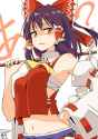 reimu disgust