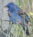 PXL_20250509_140633979~2