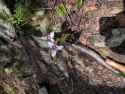 IMG_20250602_114747_804