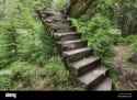 abandoned-ruins-of-the-concrete-staircase-in-the-forest-PRC0AK