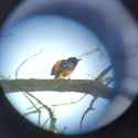 IMG_20250526_143845_184
