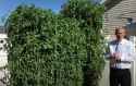 image_2025-06-14_180542570