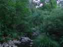 DSC00025 - Copy