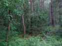 DSC00028 - Copy