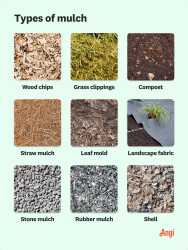 mulch-types