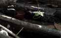 IMG-20250621-163549101