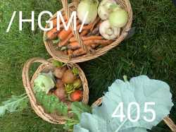 hgm