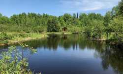 pond