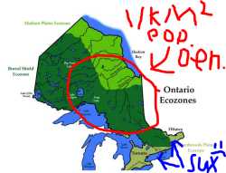 LOW POPULATION DENSITY IS BASED