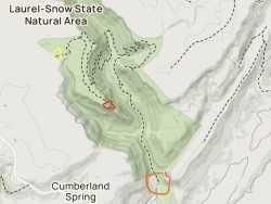 laurelsnow