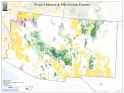 Mature-Old-Growth-Map-Region-03