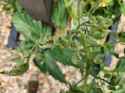b20250620_184647