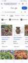 Screenshot_20250626_151110_Chrome