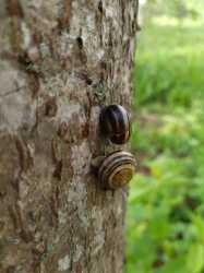 IMG_20250526_184541