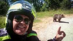 motociclist_italian
