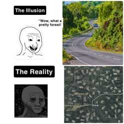 401 KB
