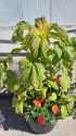 1.02 MB