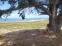 2.63 MB