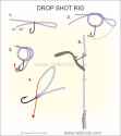 Rule 34 Rule 34 Image