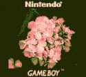 20240519-122102-20240519_122105_GB_C54AC95A_Game Boy Camera.sav 12-6x-dimwm