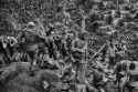 Sebastiao-Salgado-–-Serra-Pelada-Gold-Mine-Brazil-1986-1-800x534@2x-3269876420