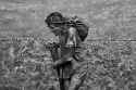 Sebastião-Salgado-Serra-Pelada-Gold-Mine-Brazil-1986-3-1261496701