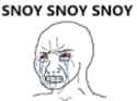 snoy2